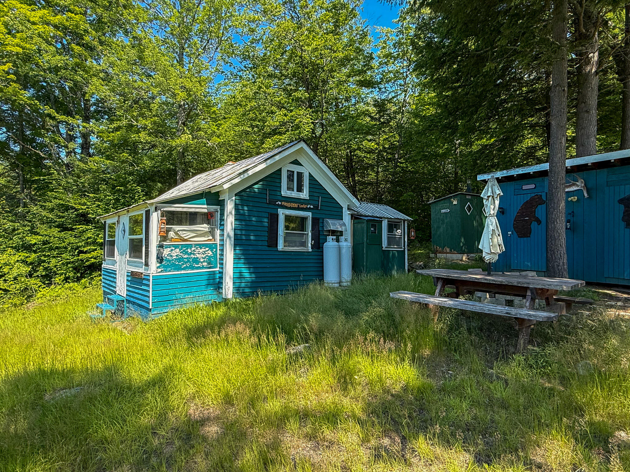 Lot 39 Sawyer Notch Road Andover, ME 04216 - Photo 4 of 34 IMG_0819