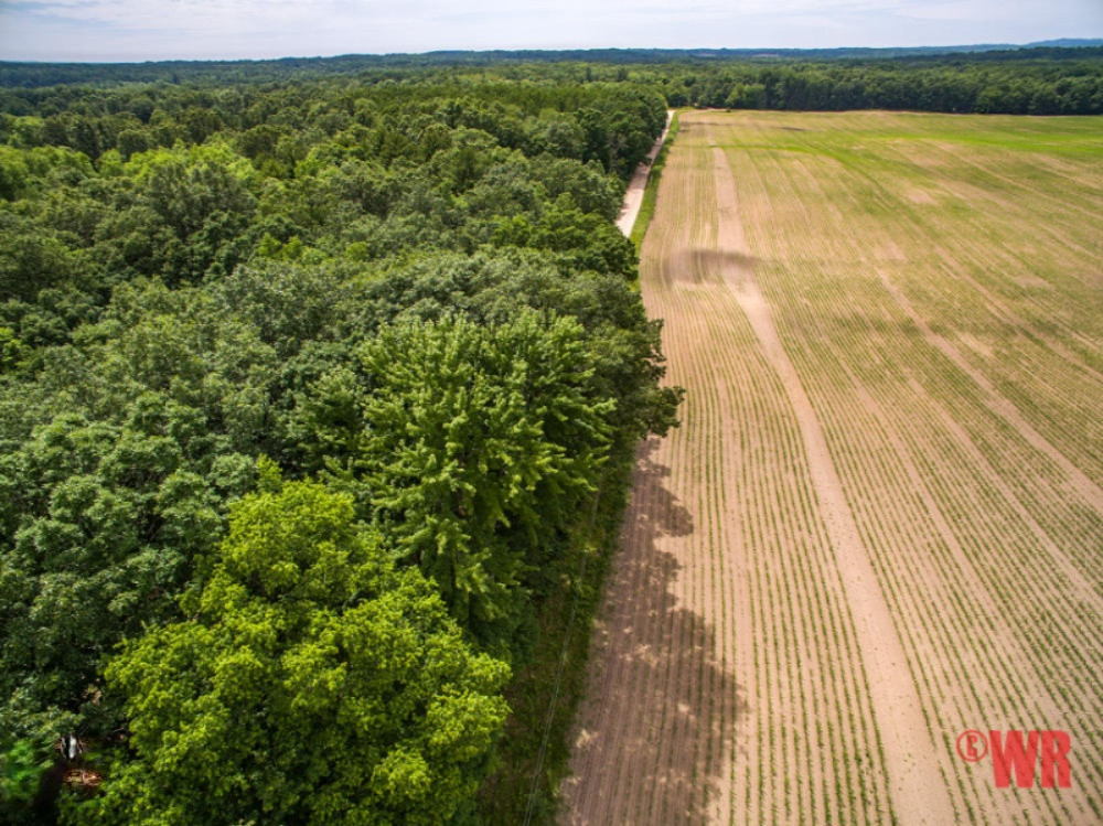 2663 East Yale Road Rothbury, MI 49452 - Photo 8 of 28 2663 E Yale-13