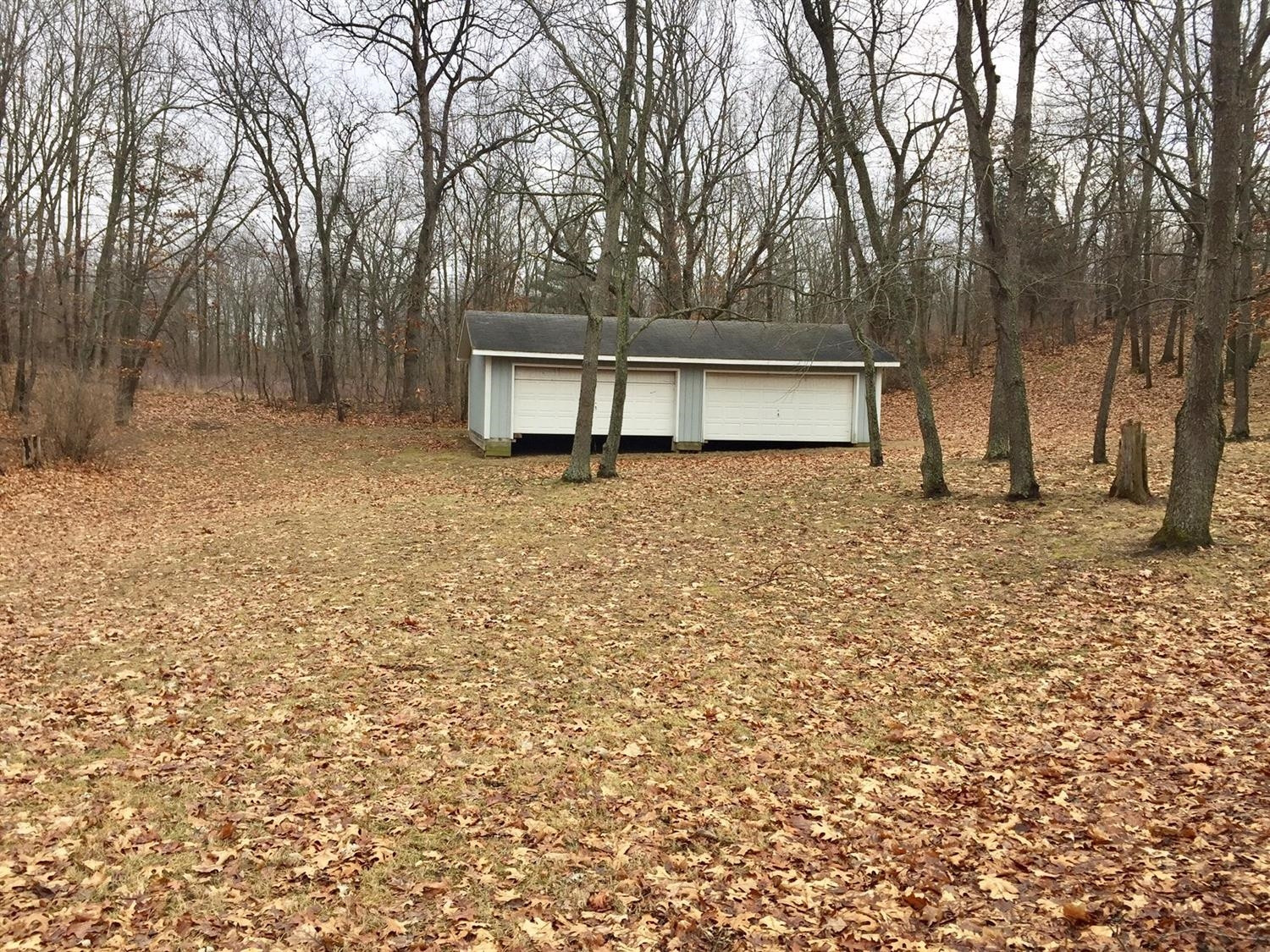 17601 Mahrle Road Manchester, MI 48158 - Photo 4 of 10 Photo 4