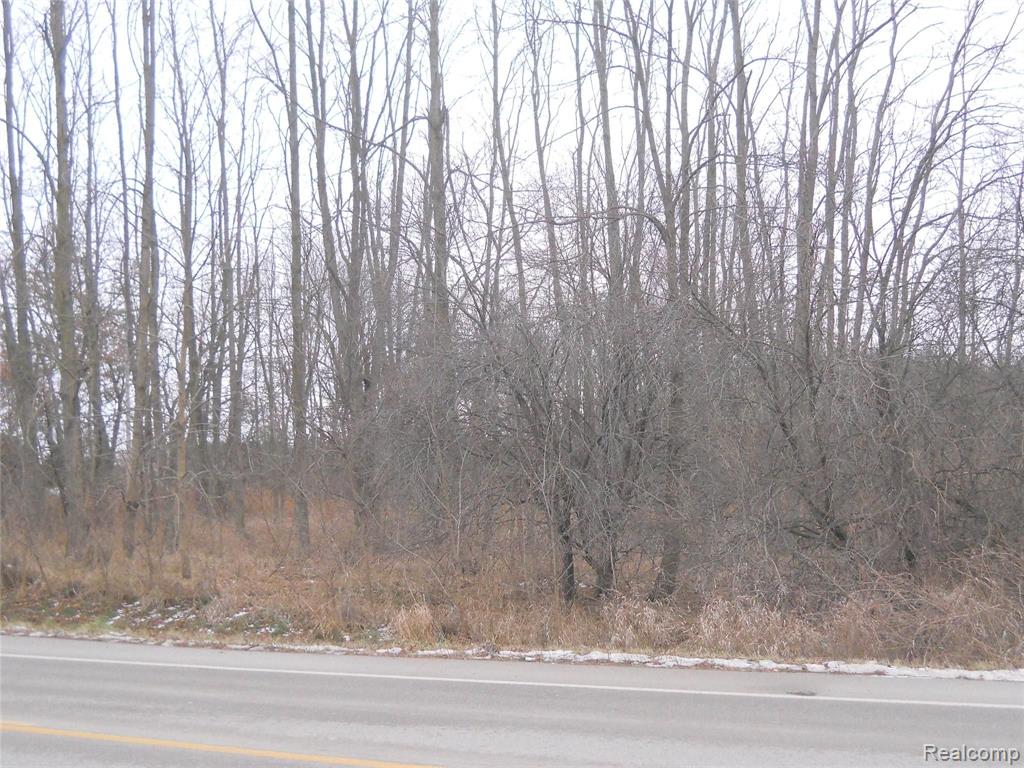 0 North Hacker Road Howell, MI 48843 - Photo 3 of 4