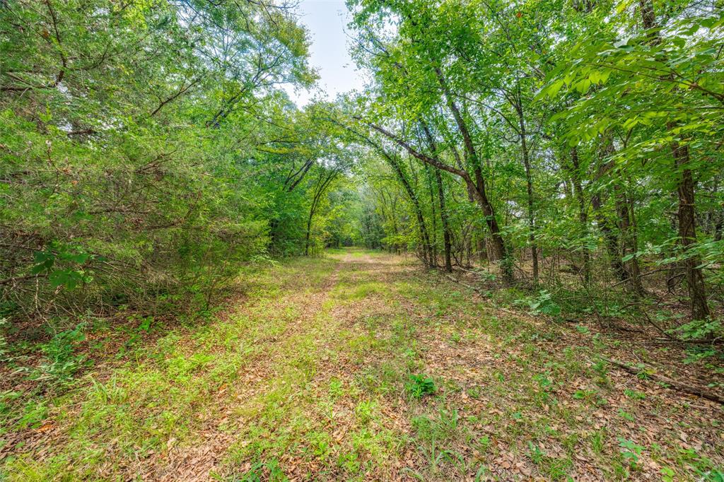 1549 Starr Road Denison, TX 75021 - Photo 8 of 13 a view of outdoor space and yard