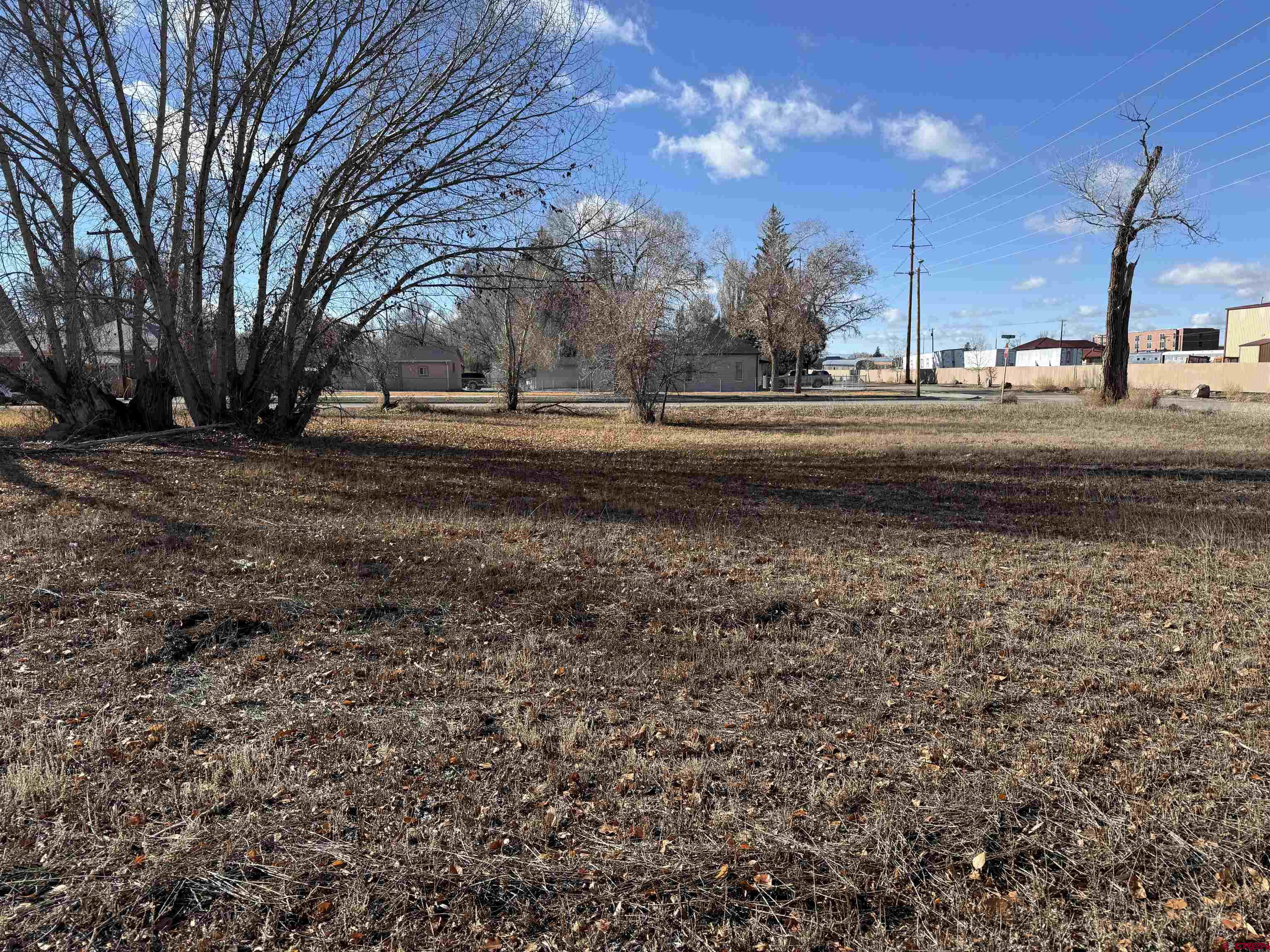 Tbd 7th Street Alamosa, CO 81101 - Photo 5 of 6 a view of road with large trees