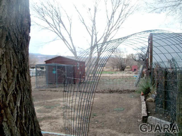 989 17 Road Fruita, CO 81521 - Photo 12 of 23 a view of house with a yard