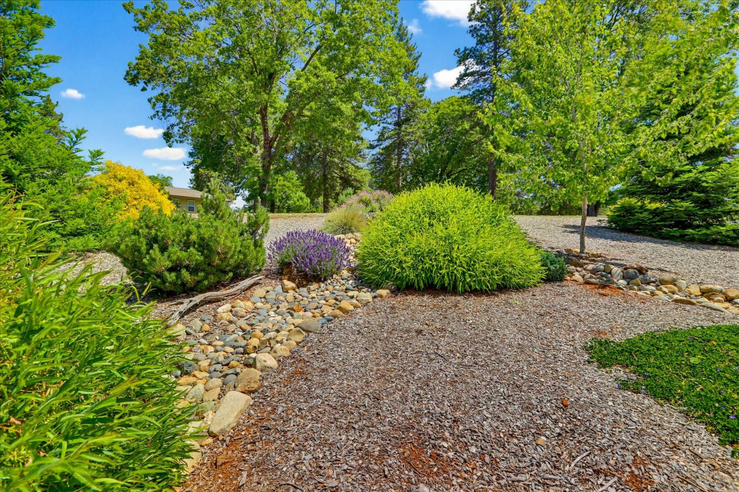 10213 Evergreen Ranch Court Grass Valley, CA 95949 - Photo 57 of 98