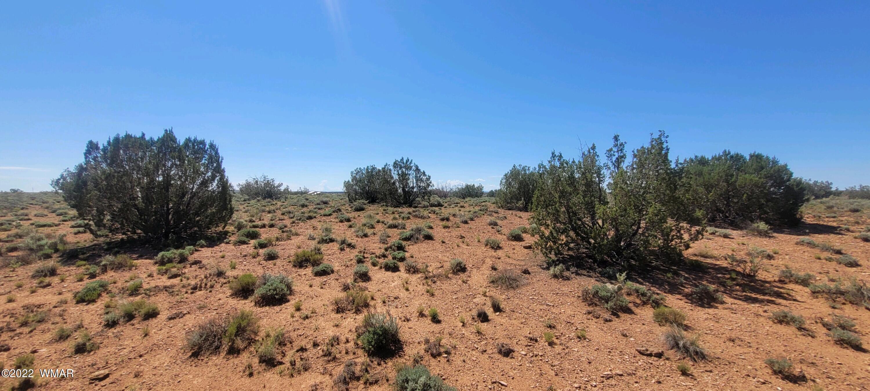 5248 Old Woodruff Road Snowflake, AZ 85937 - Photo 18 of 29 Gallery Image 18