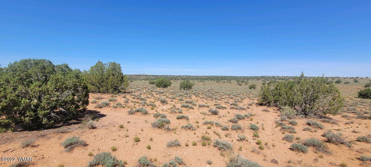5248 Old Woodruff Road Snowflake, AZ 85937 - Photo 20 of 29 Gallery Image 20