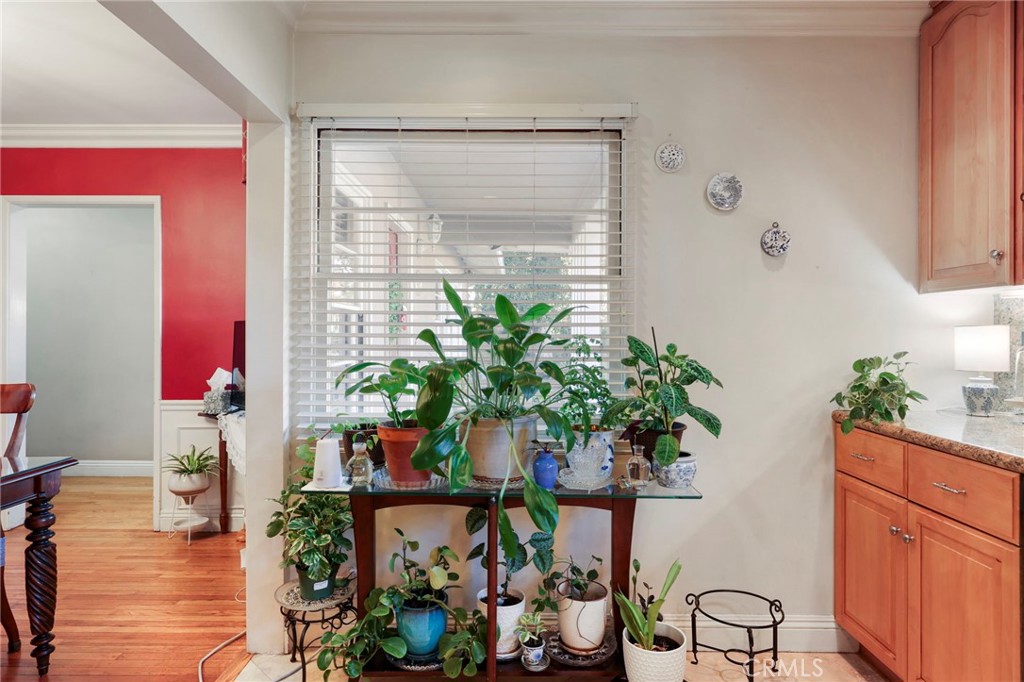 415 Cortez Road Arcadia, CA 91007 - Photo 12 of 27 a potted plant sitting in front of a window