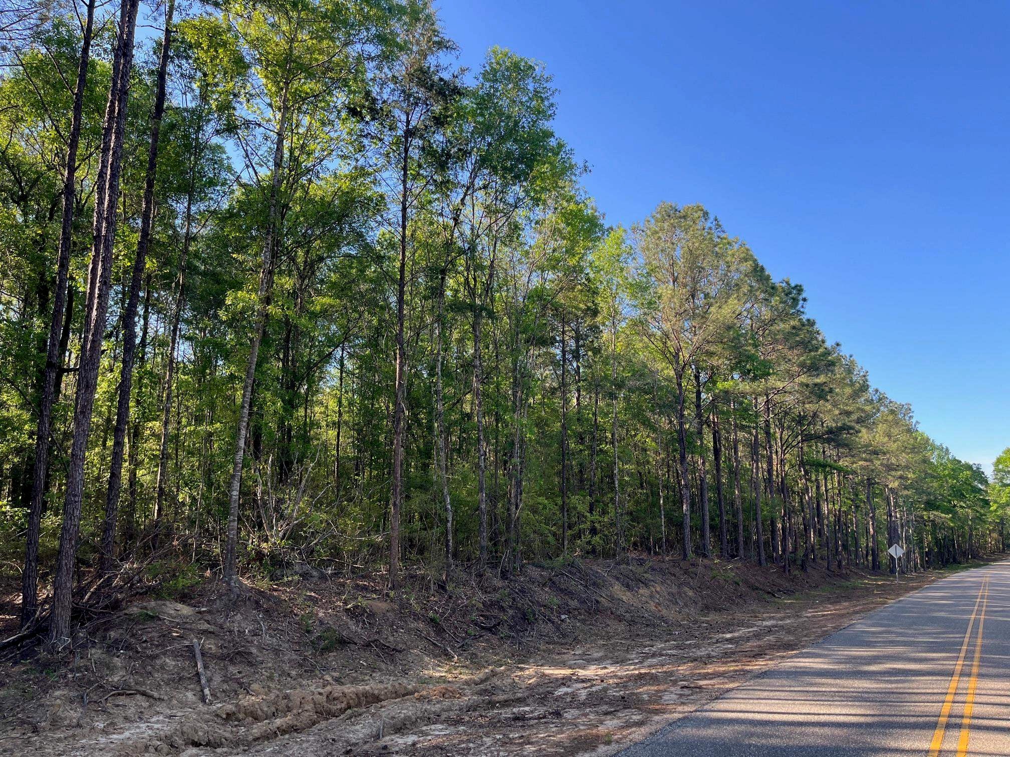 0 Judge Smith Road/loango Road Andalusia, AL 36421 - Photo 4 of 9 Gallery Image 4