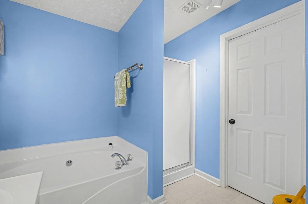 218 Amaranth Court Ball Ground, GA 30107 - Photo 21 of 39 a bathroom with a bathtub and shower