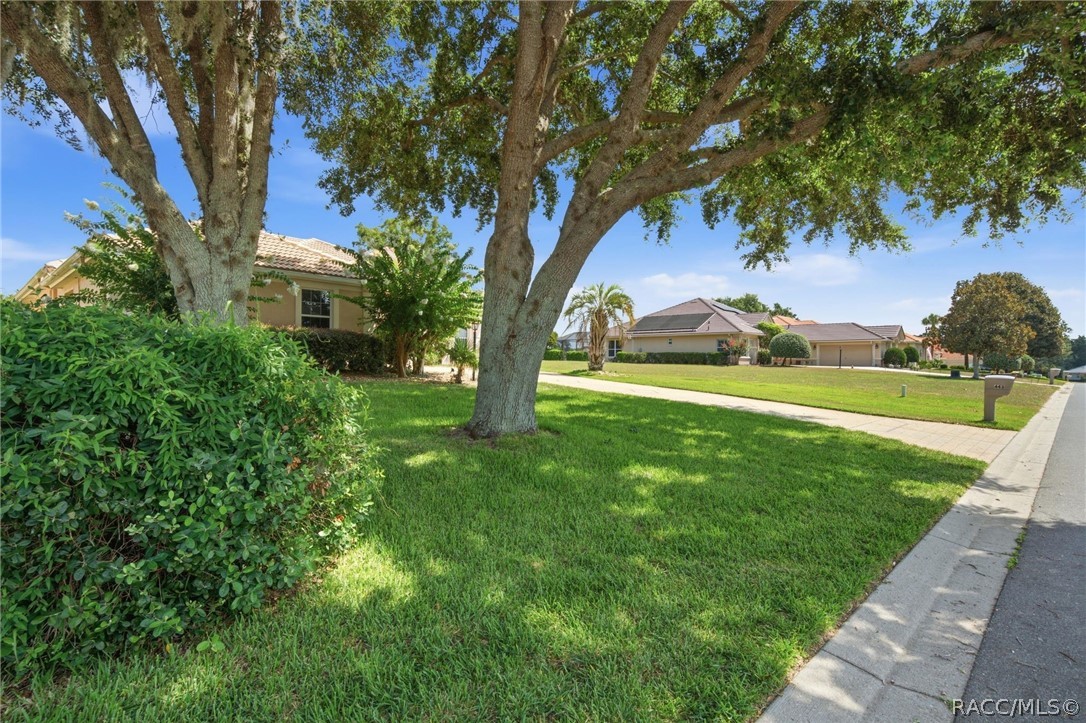 443 West Mickey Mantle Path Hernando, FL 34442 - Photo 50 of 78