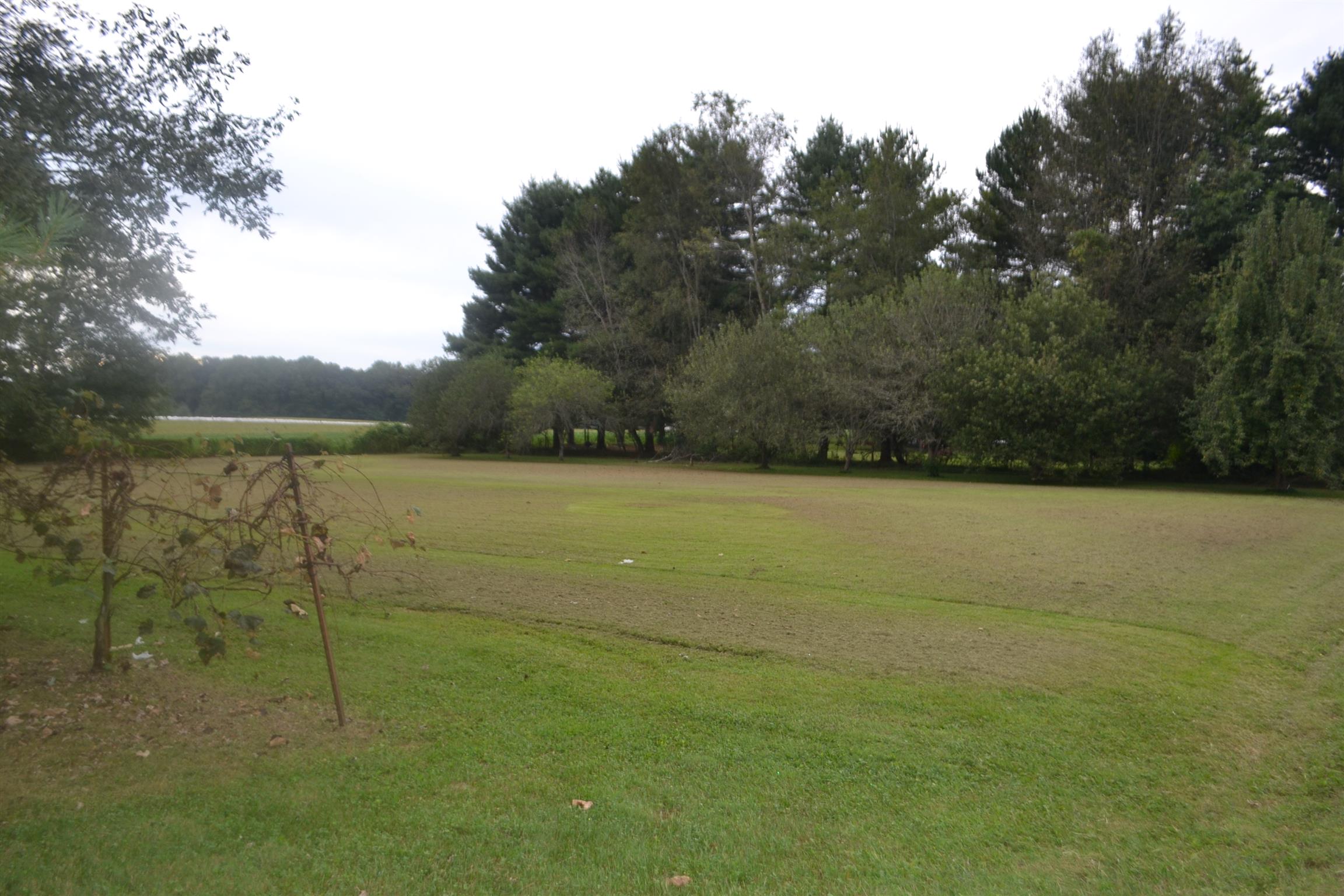 137 Rains Road Morrison, TN 37357 - Photo 4 of 24 a view of a field with an ocean