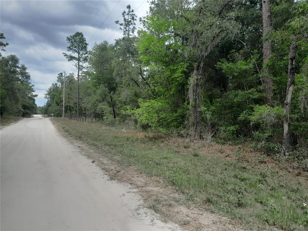 a view of a dirt road with trees in the background
