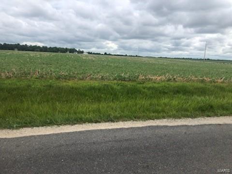 0 East Patterson Road Roodhouse, IL 62082 - Photo 1 of 3