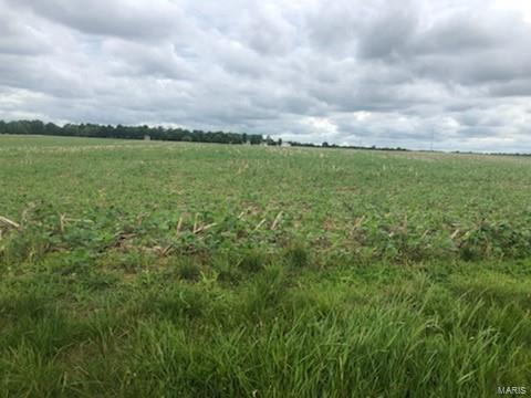 0 East Patterson Road Roodhouse, IL 62082 - Photo 2 of 3