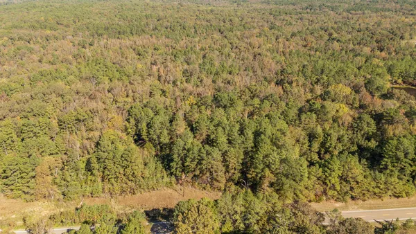 a view of a dry yard