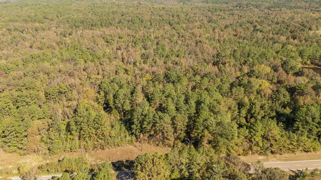 a view of a dry yard