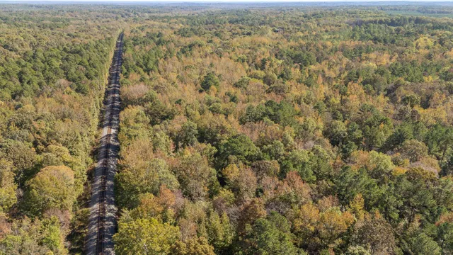 a view of a city with lush green forest