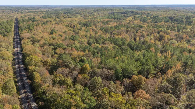 an aerial view of forest