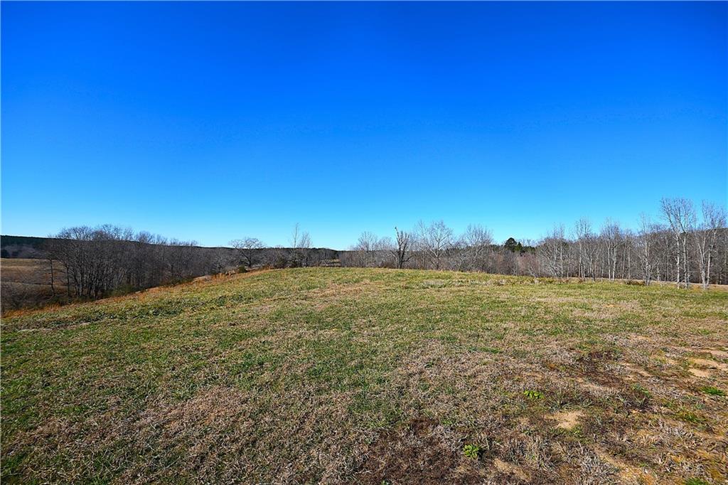 703 Addison Road Buchanan, GA 30113 - Photo 34 of 42