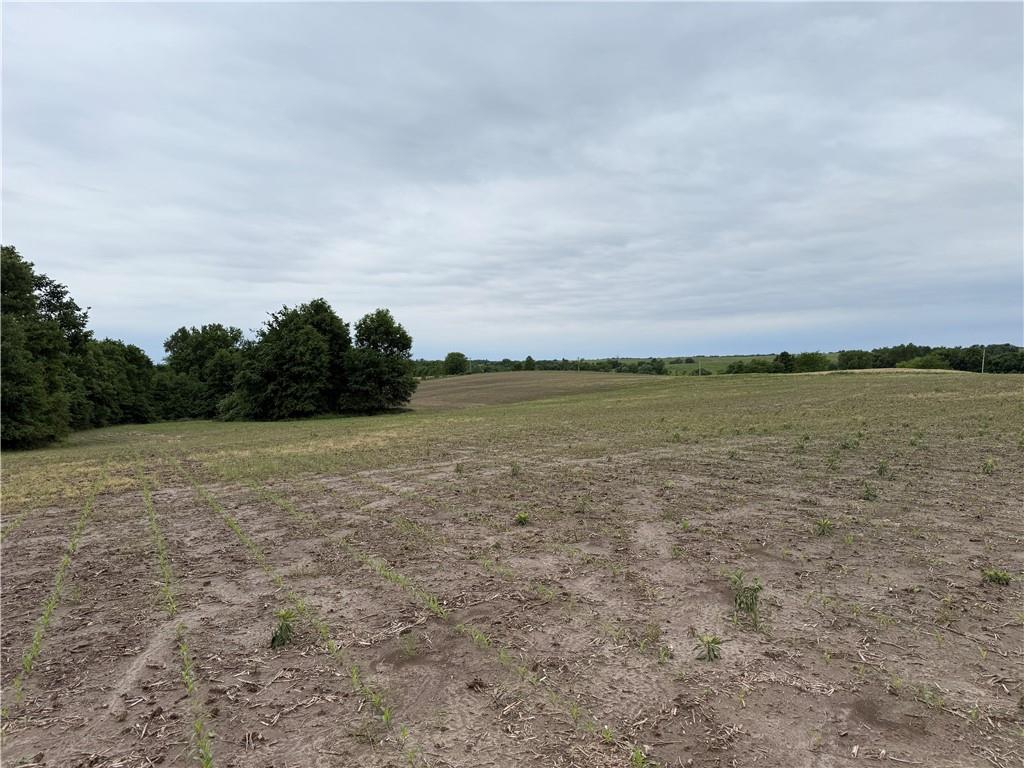 Cotton Road Purdin, MO 64674 - Photo 6 of 14