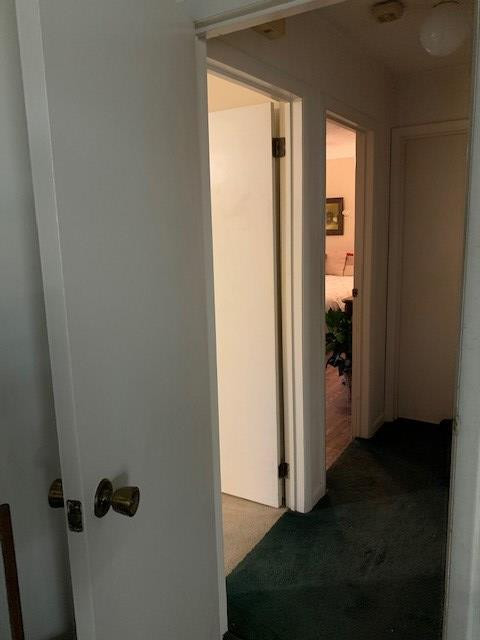 3572 Surrey Road Thomson, GA 30824 - Photo 54 of 71