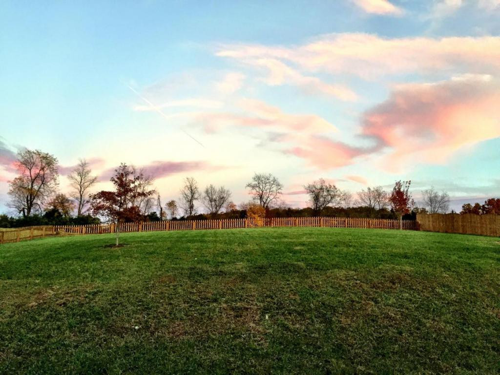 1338 Timber Ridge Road Bluff City, TN 37618 - Photo 16 of 24 Back Yard View