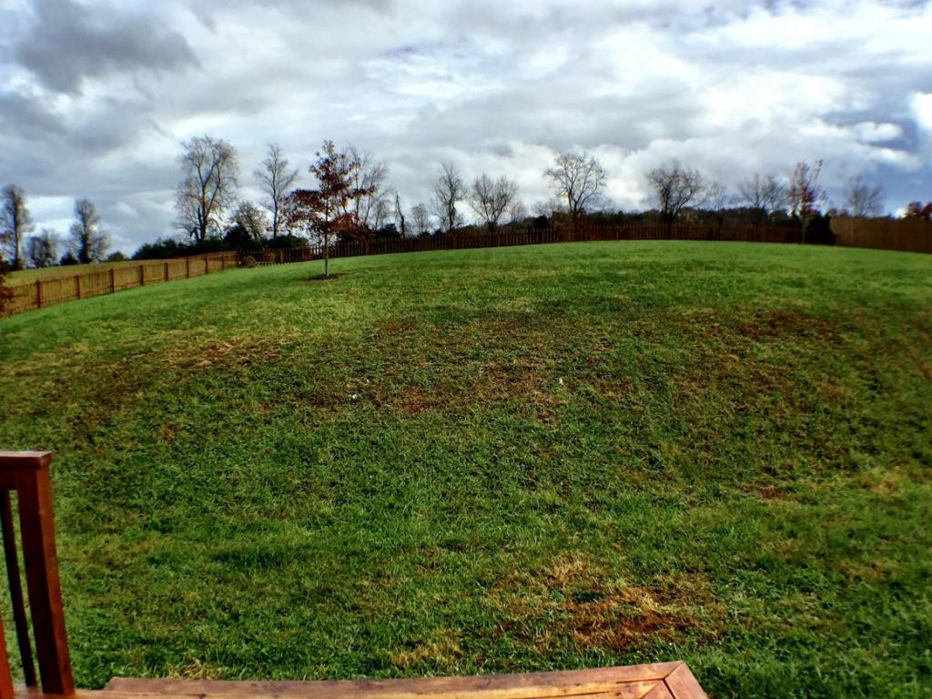 1338 Timber Ridge Road Bluff City, TN 37618 - Photo 17 of 24 Fenced In Yard