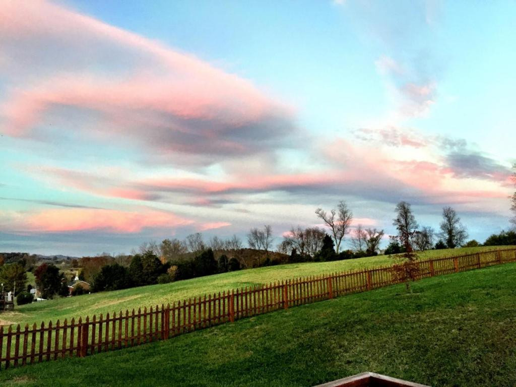 1338 Timber Ridge Road Bluff City, TN 37618 - Photo 19 of 24 Mountain Views