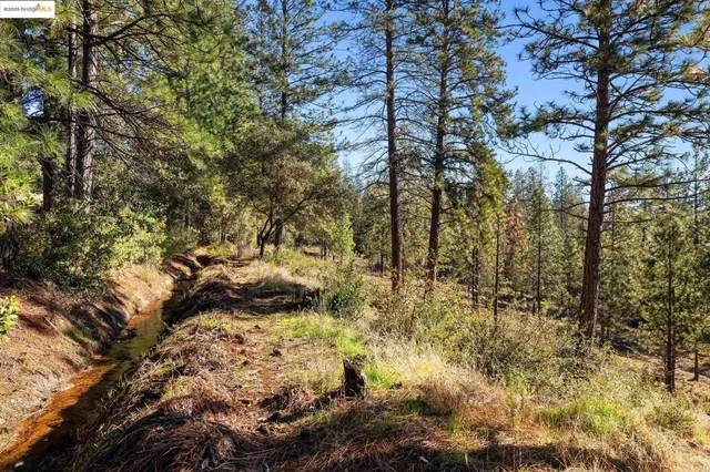 a view of outdoor space