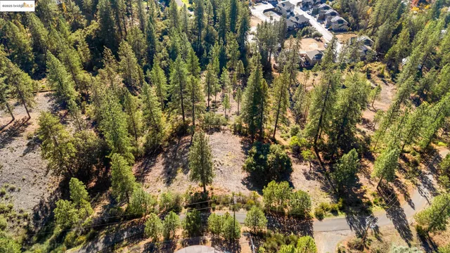 a view of residential houses with yard