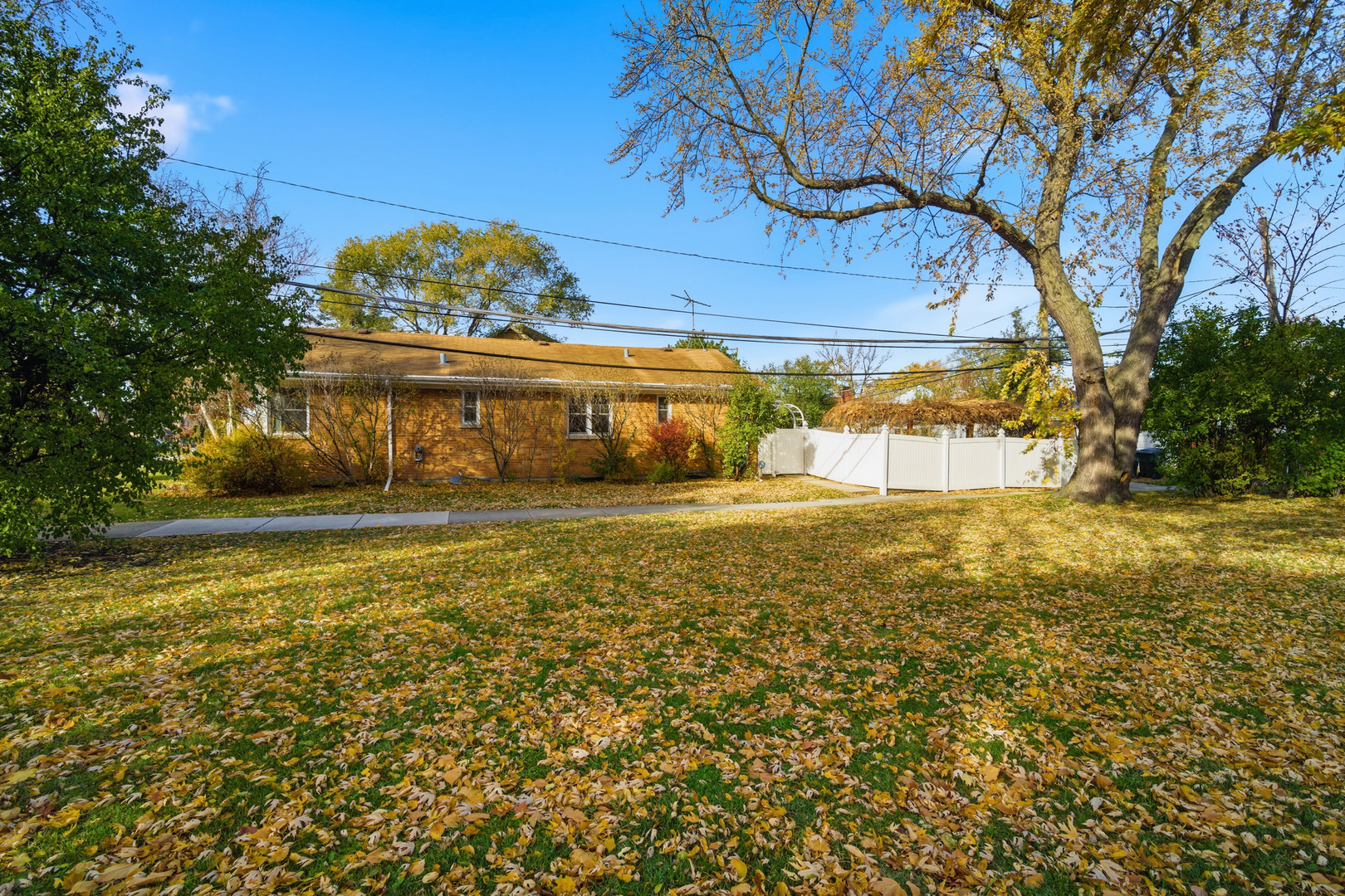 1700 Marguerite Street Park Ridge, IL 60068 - Photo 36 of 44 a view of a house with a yard