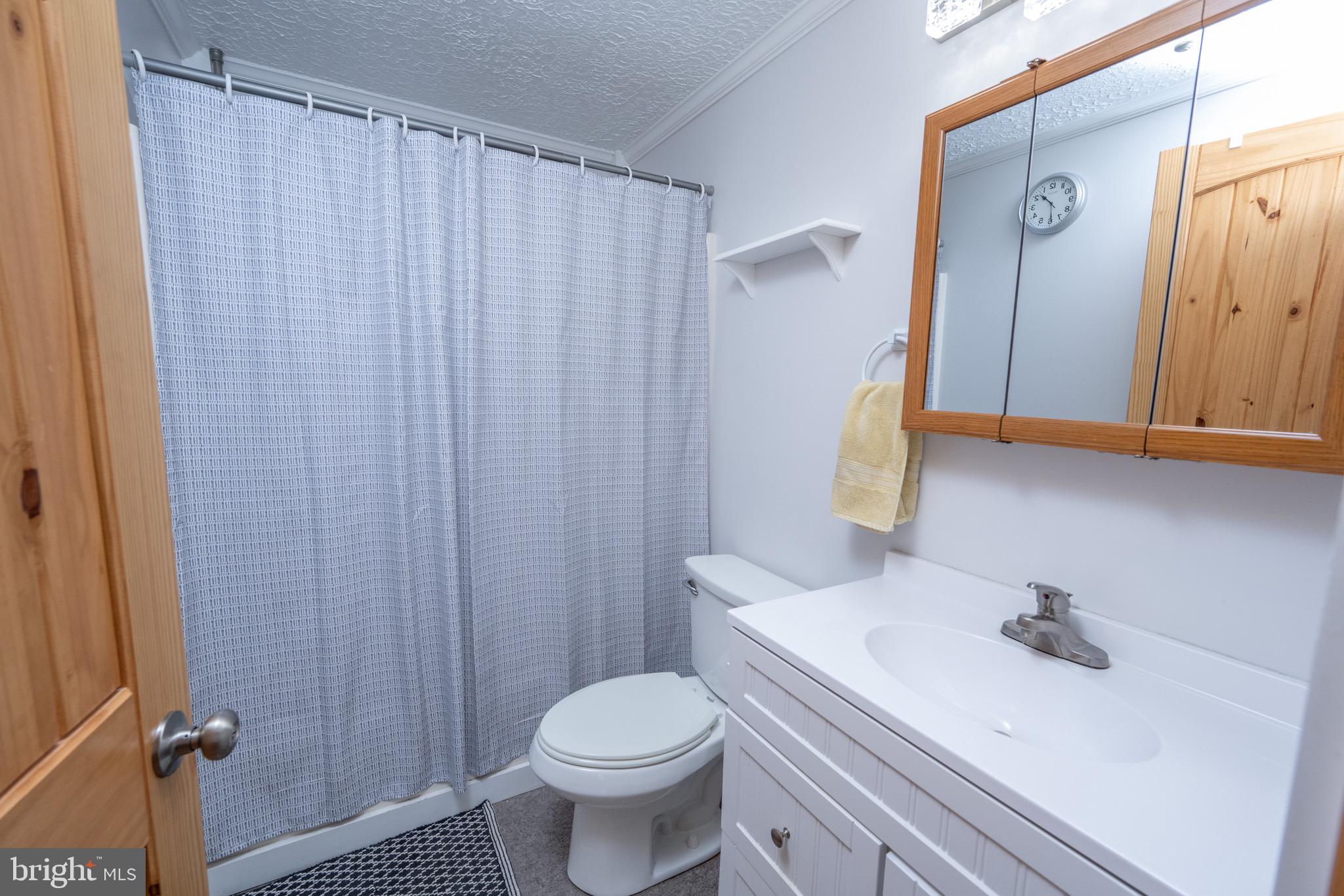 18 Ollie North Road Oakland, MD 21550 - Photo 17 of 48 a bathroom with a sink a toilet and shower curtain