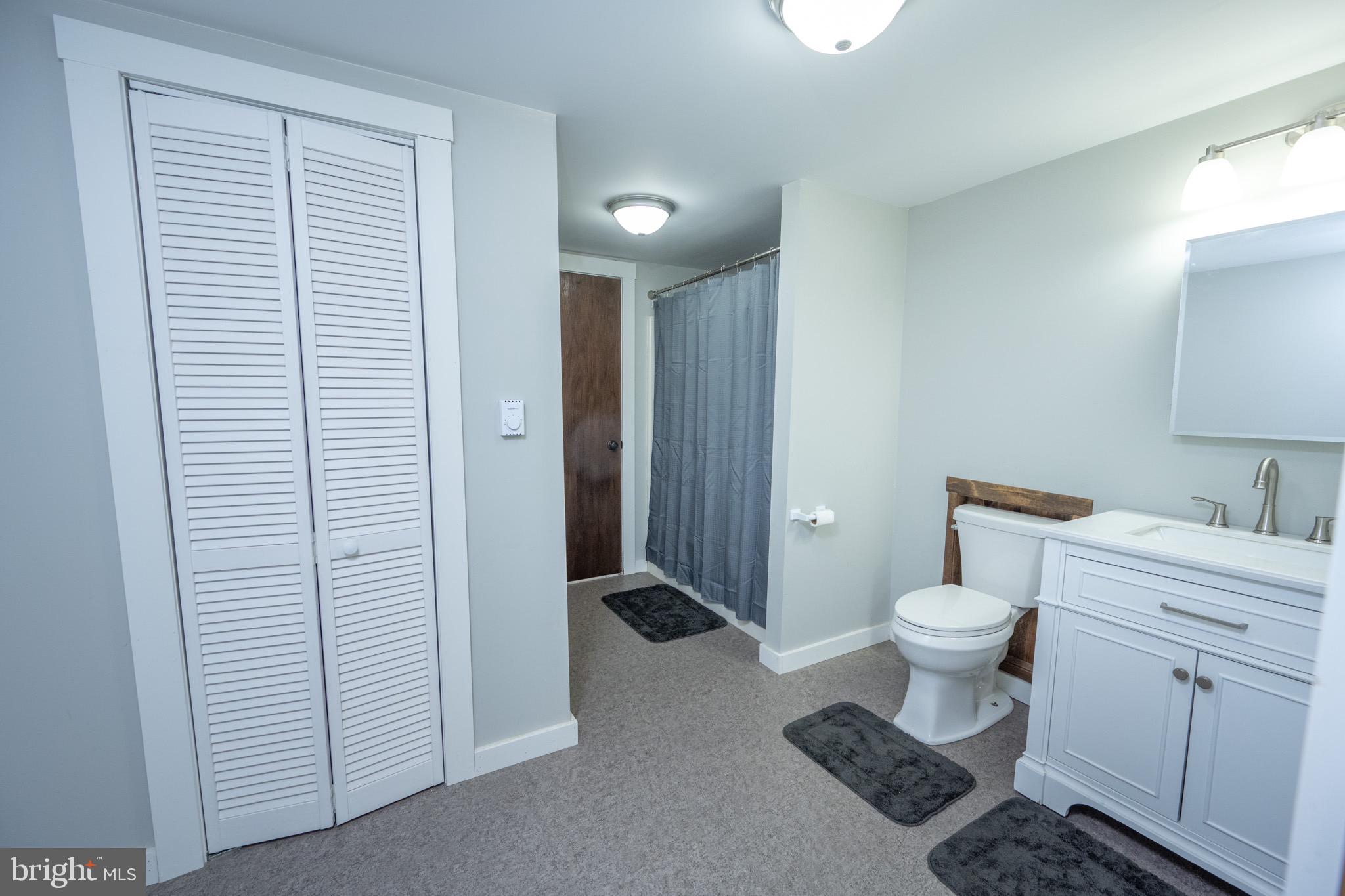 18 Ollie North Road Oakland, MD 21550 - Photo 29 of 48 a bathroom with a toilet a sink and a shower