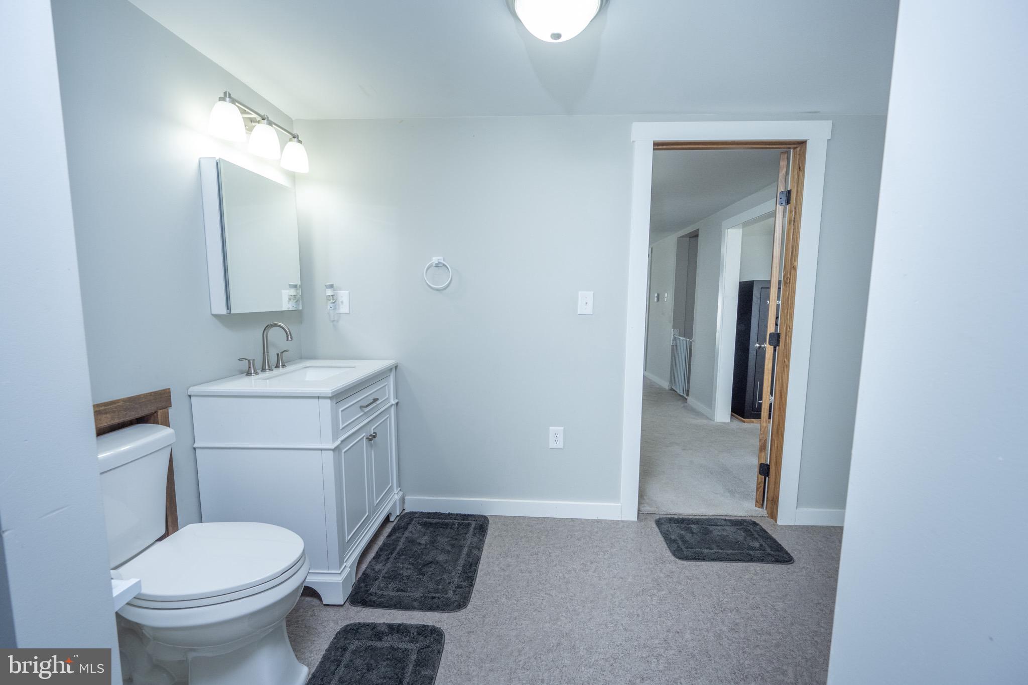 18 Ollie North Road Oakland, MD 21550 - Photo 30 of 48 a bathroom with a toilet and a sink