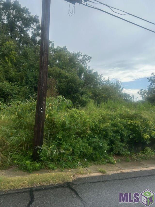 616 Lorri Burgess Avenue Baton Rouge, LA 70802 - Photo 3 of 6