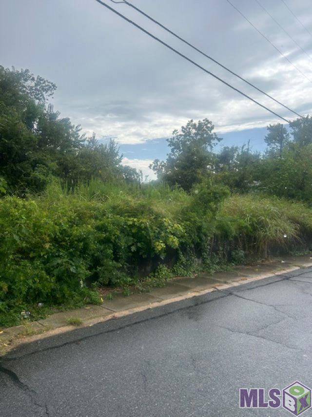 616 Lorri Burgess Avenue Baton Rouge, LA 70802 - Photo 5 of 6