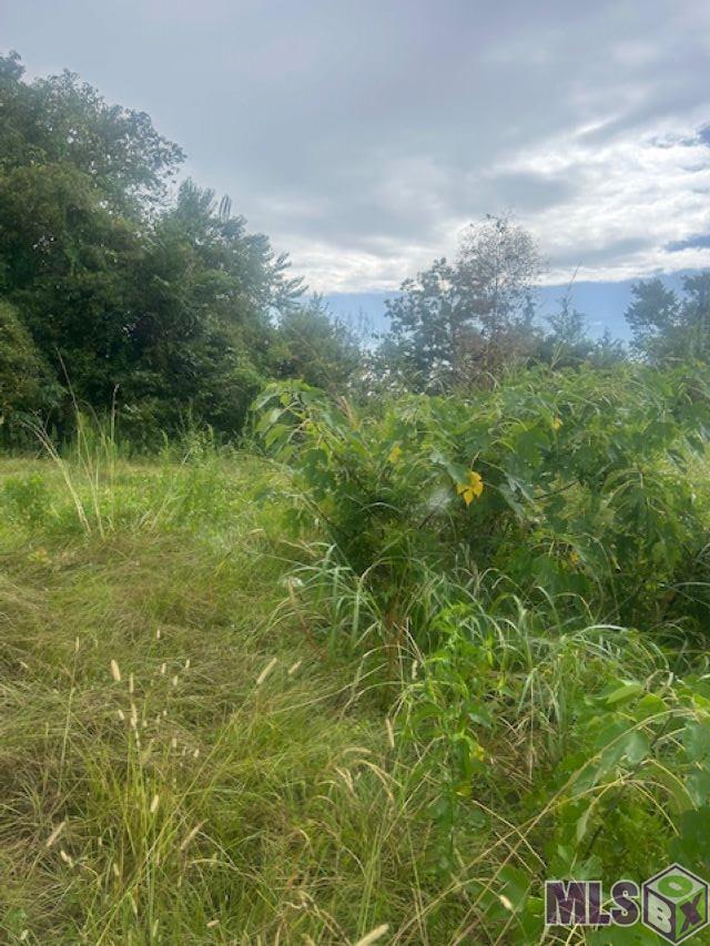 616 Lorri Burgess Avenue Baton Rouge, LA 70802 - Photo 6 of 6