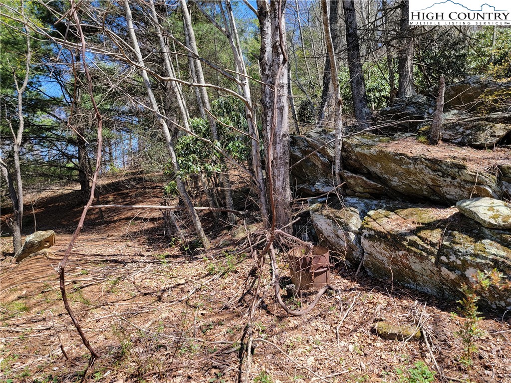 2134-2214 Deep Ford Road Lansing, NC 28643 - Photo 27 of 49 a backyard of a house with lots of trees