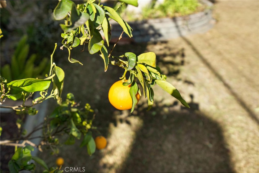 1262 Olwyn Drive Tustin, CA 92780 - Photo 36 of 47