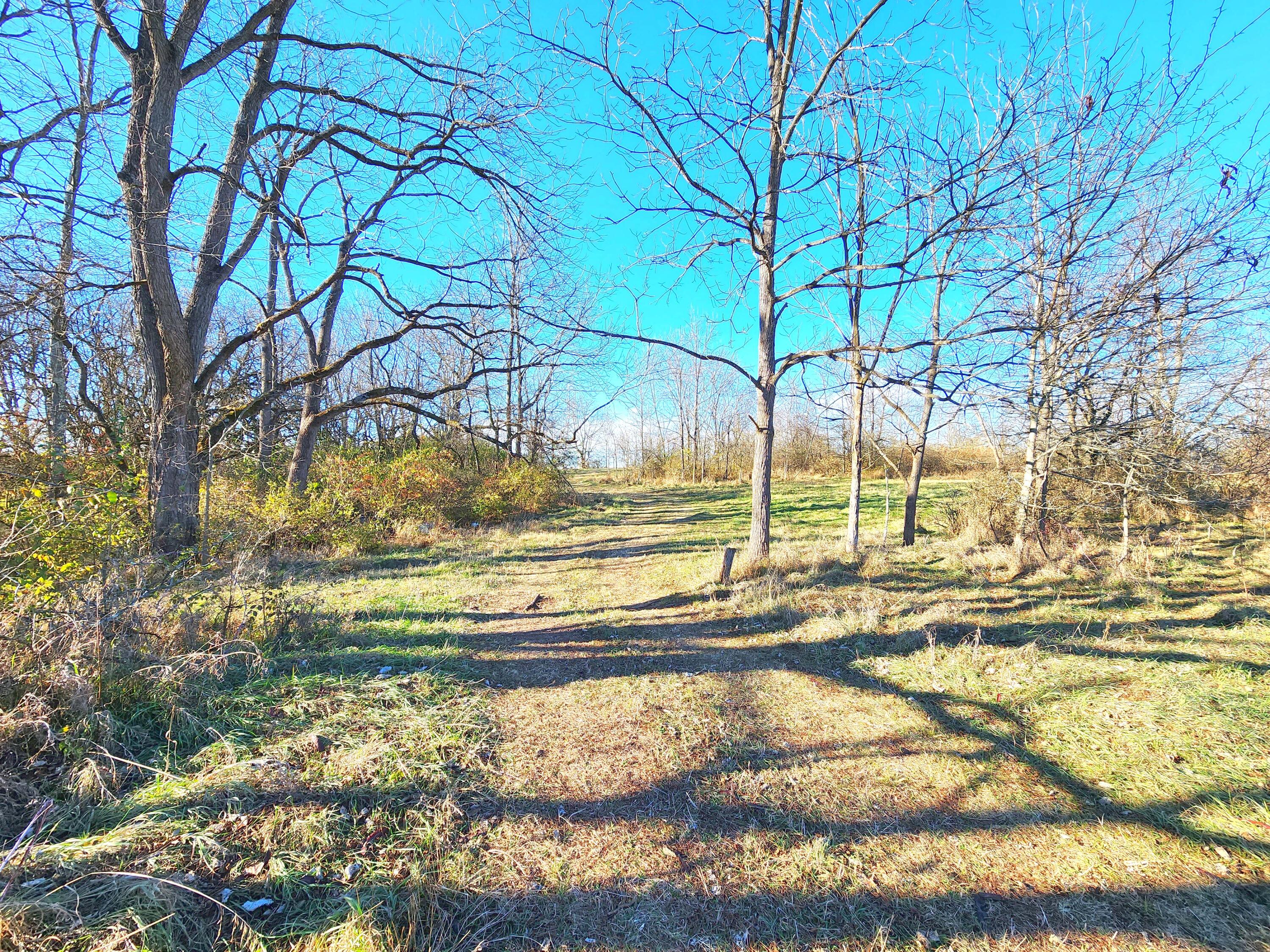 3670 Old Columbus Road Springfield, OH 45503 - Photo 38 of 64