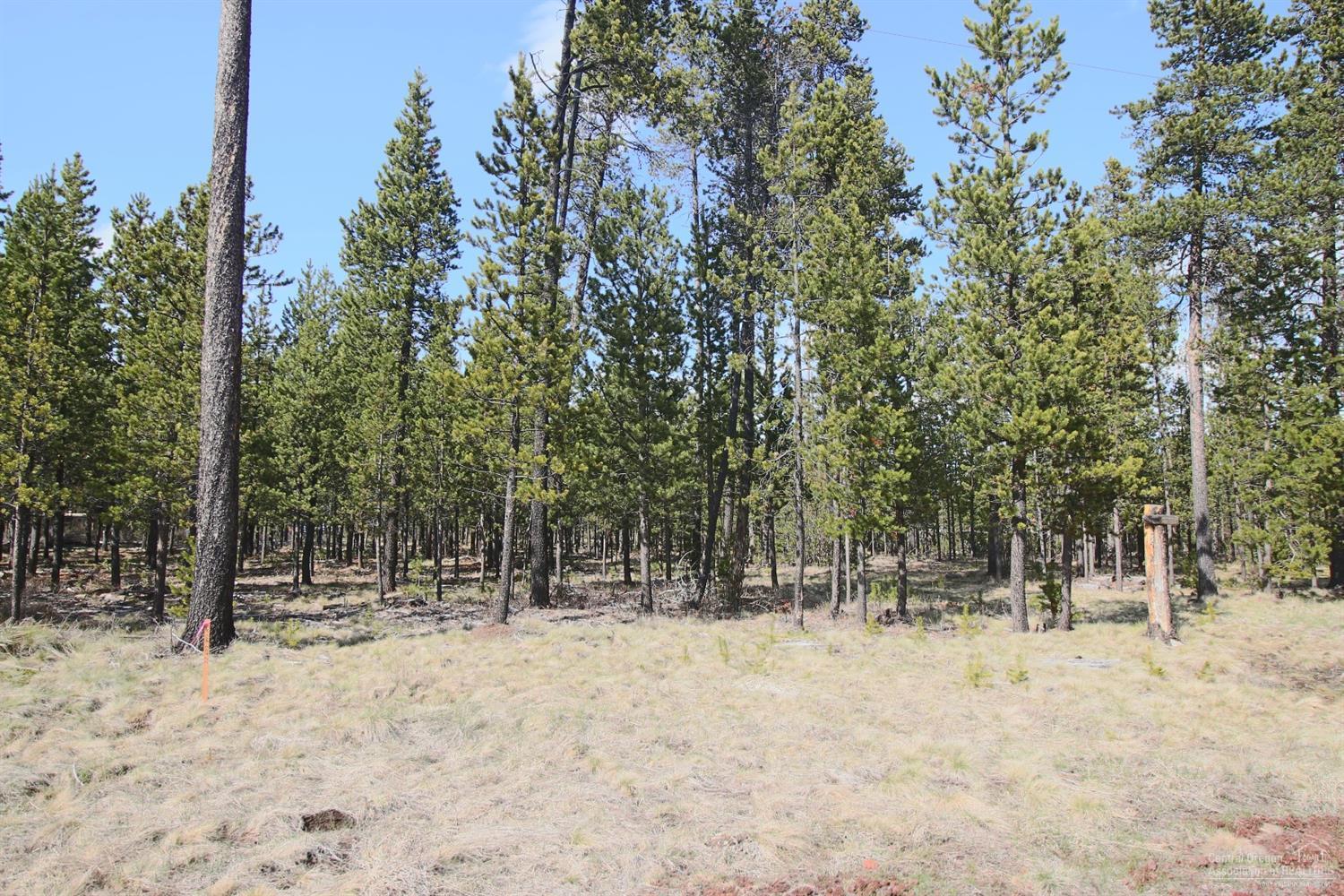 17164 Indio Road Bend, OR 97707 - Photo 2 of 6 Additional Photo