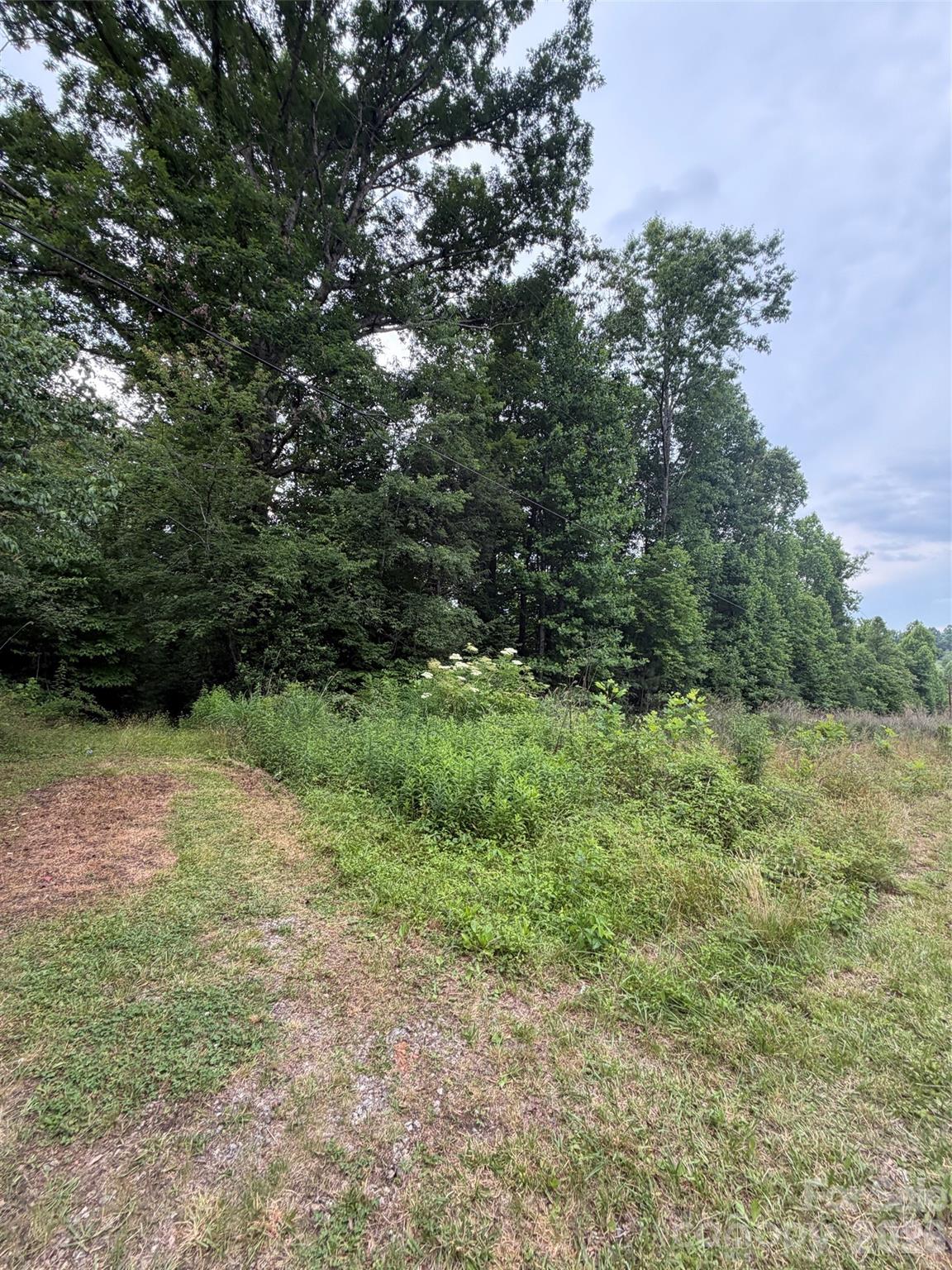 Lot 1 Parker Padgett Road Old Fort, NC 28762 - Photo 3 of 8