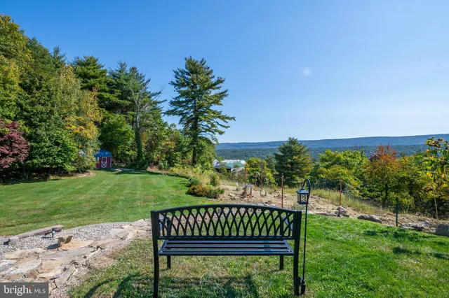 a view of a bench in the garden