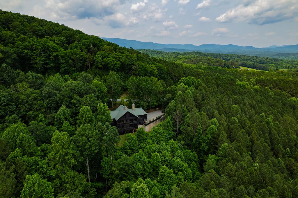 239 Ridge Top Drive Ellijay, GA 30536 - Photo 97 of 97