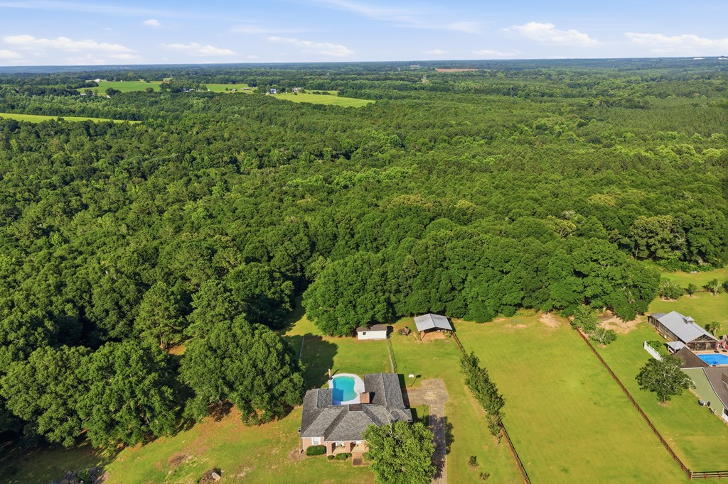 344 Hidden Springs Road Midland City, AL 36350 - Photo 59 of 64