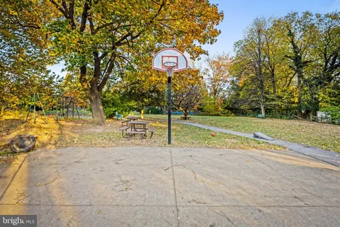 a view of a garden with plants and large trees