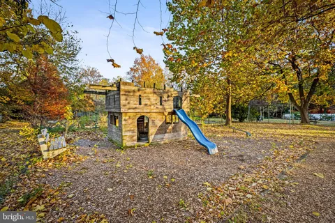 a view of a yard with plants and large trees