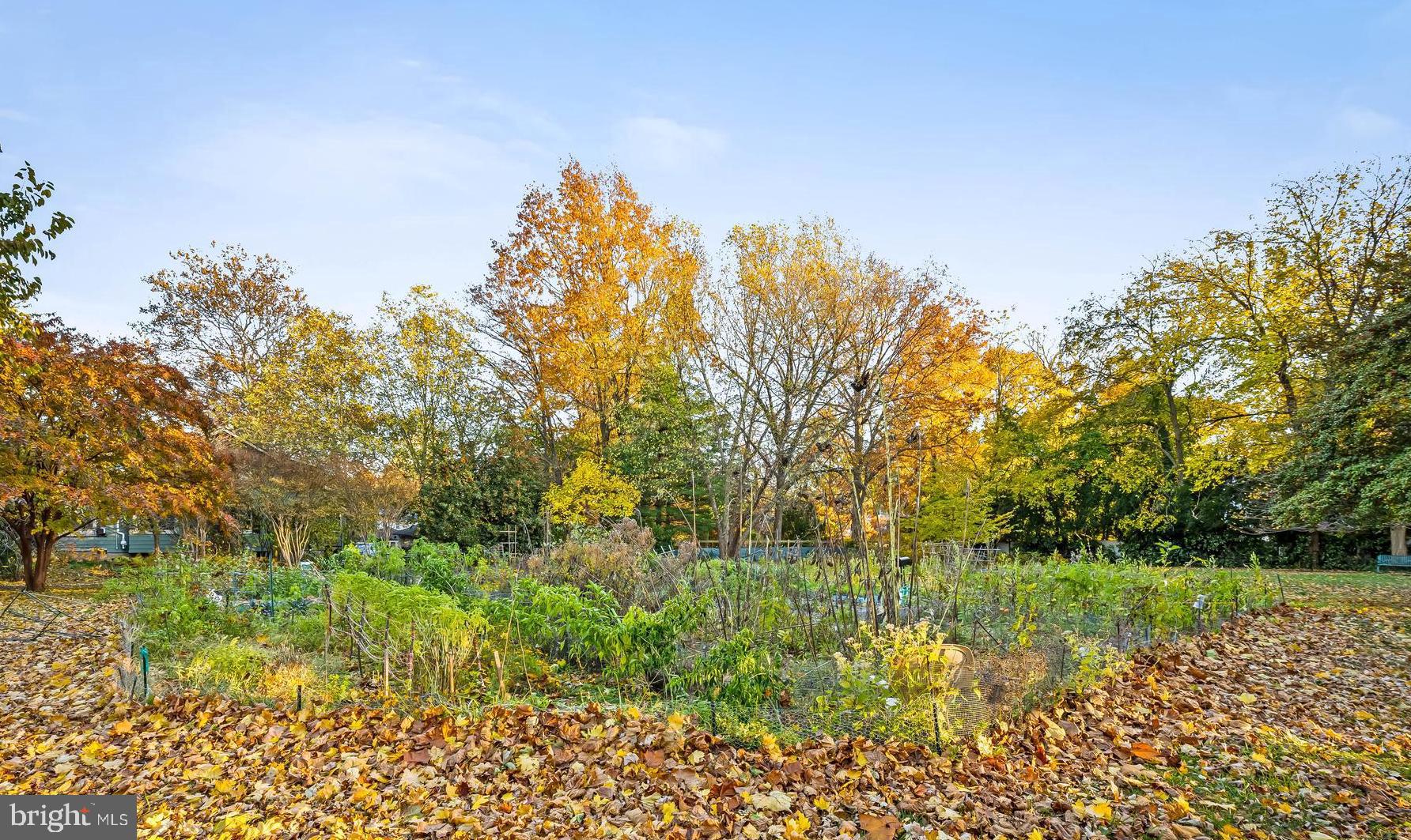 63 Burkshire Road Towson, MD 21286 - Photo 38 of 43 a view of a garden with plants and large trees