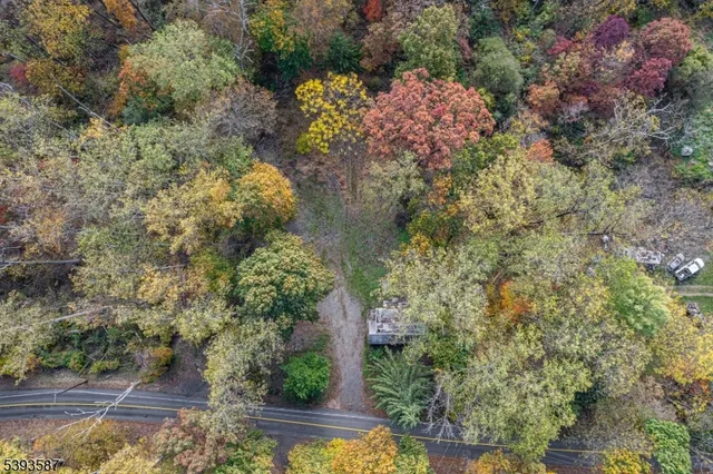 a view of a garden with flowers
