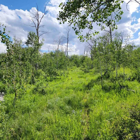 a view of a green field with lots of green space